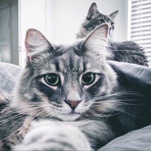 Meet your Posher, Meghan